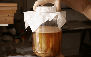 Kombucha Fermentation Tracking with EasyDens
