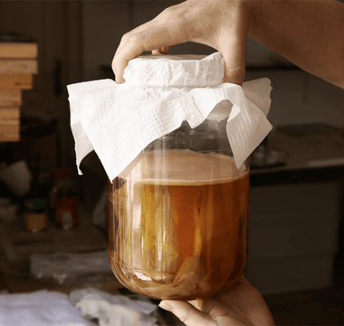 Kombucha Fermentation Tracking with EasyDens