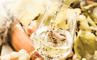 Sauvignon Blanc Fermentation Tracking with EasyDens