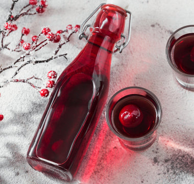 Homemade Liqueur with EasyDens & SmartRef: the Perfect Christmas Gift