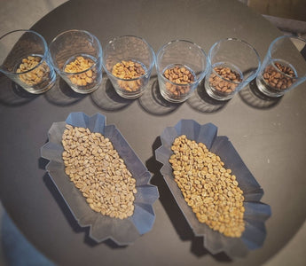 Coffee science in action -  SmartRef & the NEW Coffee Meister App