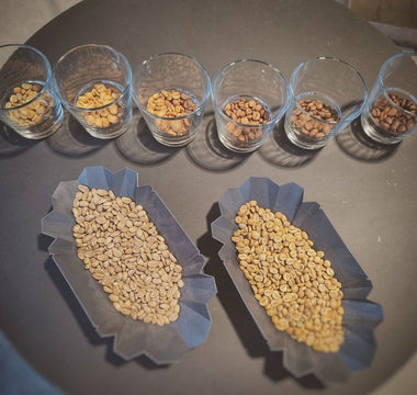Coffee science in action -  SmartRef & the NEW Coffee Meister App