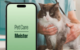 Pet Care Meister App - the smart way to monitor your pet's health