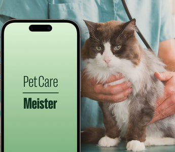 Pet Care Meister App - the smart way to monitor your pet's health