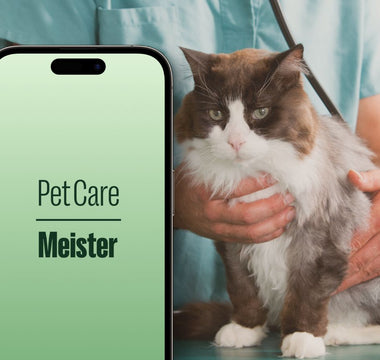 Pet Care Meister App - the smart way to monitor your pet's health