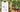 Determine sugar content in fruits with the SmartRef Digital Refractometer